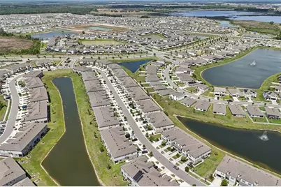 32010 Blue Passing Loop, Wesley Chapel, FL 33545 - Photo 3
