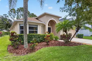 19305 Sea Mist Ln, Lutz, FL 33558 - Photo 1