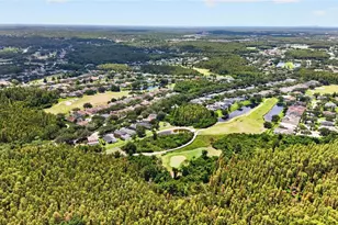 19305 Sea Mist Ln, Lutz, FL 33558 - Photo 39