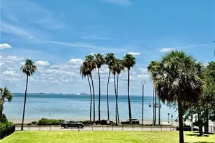 2109 Bayshore Blvd, Tampa, FL 33606 - Photo 5