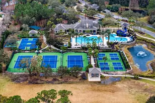 14519 Mirasol Manor Ct, Tampa, FL 33626 - Photo 85