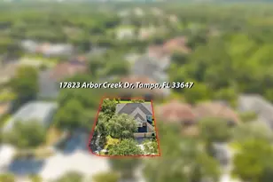 17823 Arbor Creek Dr, Tampa, FL 33647 - Photo 73