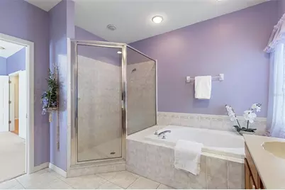 17823 Arbor Creek Drive, Tampa, FL 33647 - Photo 37