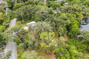 10134 White Trout Ln, Tampa, FL 33618 - Photo 63