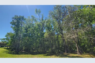 4535 Winding River Way, Land O Lakes, FL 34639 - Photo 41