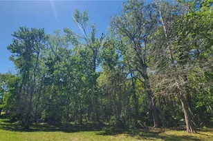 4535 Winding River Way, Land O Lakes, FL 34639 - Photo 41