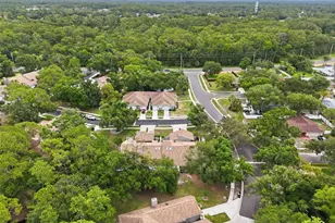 3142 Brooker Creek Way, Palm Harbor, FL 34685 - Photo 37