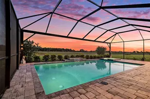 33774 Castaway Loop, Wesley Chapel, FL 33543 - Photo 71