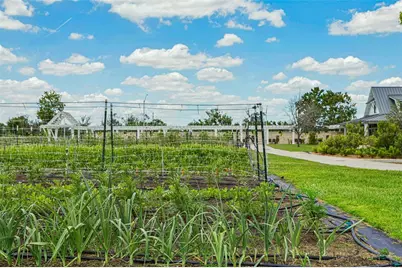 10989 Wishing Cloud Road, Land O Lakes, FL 34638 - Photo 35