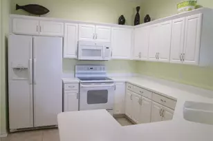 1106 Jameson Greens Dr, Sun City Center, FL 33573 - Photo 7