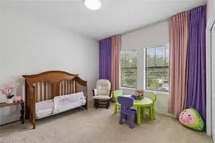 10623 Mistflower Ln, Tampa, FL 33647 - Photo 47