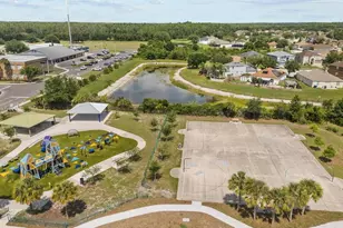 10623 Mistflower Ln, Tampa, FL 33647 - Photo 81