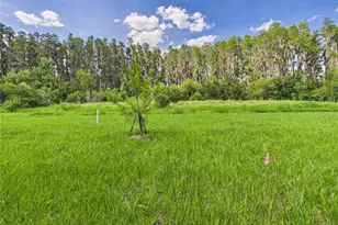 32519 Welling Blade Loop, Wesley Chapel, FL 33545 - Photo 55