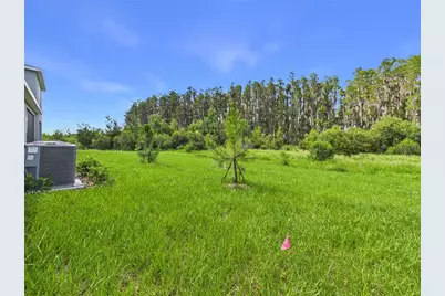 32519 Welling Blade Loop, Wesley Chapel, FL 33545 - Photo 51