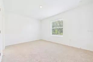 32519 Welling Blade Loop, Wesley Chapel, FL 33545 - Photo 7