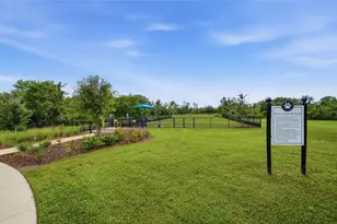 3834 Maple Bay Ln, Land O Lakes, FL 34638 - Photo 53
