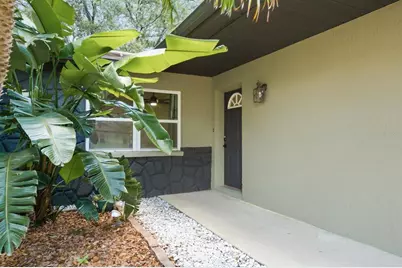 442 Evergreen Drive, Oldsmar, FL 34677 - Photo 5