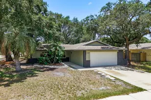 442 Evergreen Dr, Oldsmar, FL 34677 - Photo 3