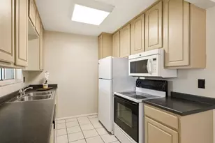 442 Evergreen Dr, Oldsmar, FL 34677 - Photo 13