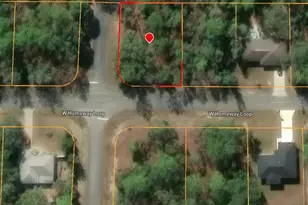 821 W Homeway Loop, Citrus Springs, FL 34434 - Photo 1