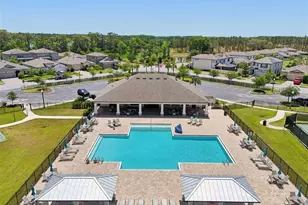 1741 Cherry Walk Rd, Lutz, FL 33558 - Photo 53