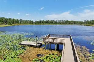 1741 Cherry Walk Rd, Lutz, FL 33558 - Photo 75