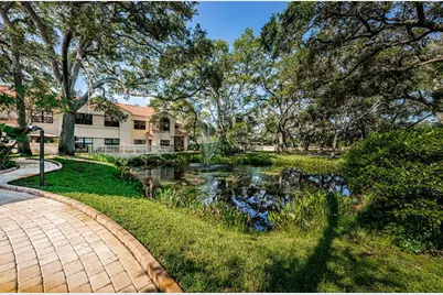 209 Los Prados Drive #1313, Safety Harbor, FL 34695 - Photo 39