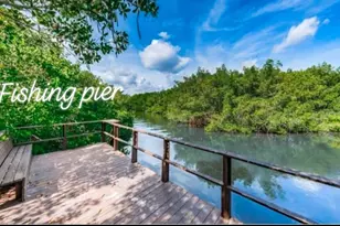 2935 Lichen Ln, Clearwater, FL 33760 - Photo 7