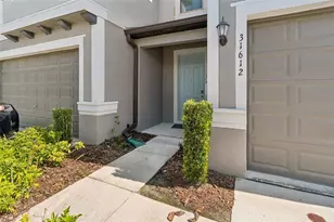 31612 Blue Passing Loop, Wesley Chapel, FL 33545 - Photo 7