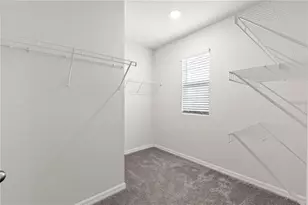 3226 Suncoast Plains Dr, Odessa, FL 33556 - Photo 19
