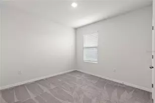 3226 Suncoast Plains Dr, Odessa, FL 33556 - Photo 23