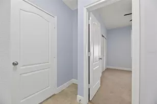 7328 Milestone Dr, Apollo Beach, FL 33572 - Photo 47
