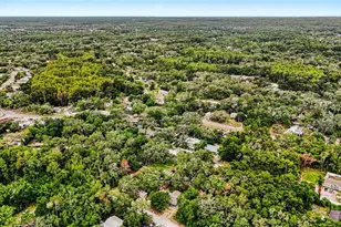 10131 Field St, New Port Richey, FL 34654 - Photo 29