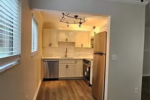 11720 Raintree Village Blvd, Temple Terrace, FL 33617 - Photo 5