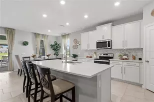 11316 Spoonbill Flock Wy, San Antonio, FL 33576 - Photo 9
