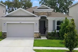11316 Spoonbill Flock Wy, San Antonio, FL 33576 - Photo 1