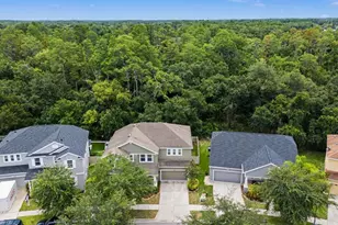 6944 Rocky Canyon Way, Tampa, FL 33625 - Photo 3