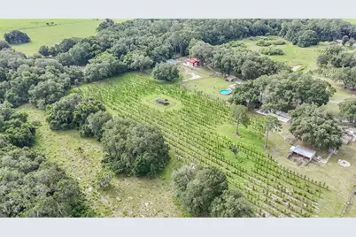 5117 Cr 316A, Bushnell, FL 33513 - Photo 33