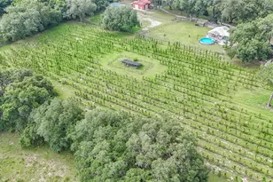 5117 Cr 316A, Bushnell, FL 33513 - Photo 29