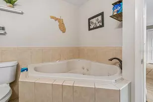 4009 Mountain Springs Ln, Tampa, FL 33624 - Photo 31