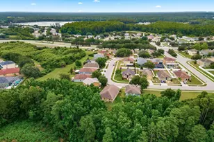 5643 white Trillium Loop, Land O Lakes, FL 34639 - Photo 45