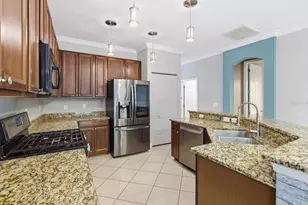5643 white Trillium Loop, Land O Lakes, FL 34639 - Photo 17