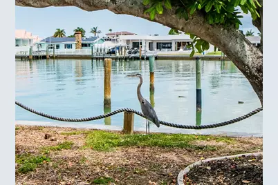 720 115th Avenue, Treasure Island, FL 33706 - Photo 35