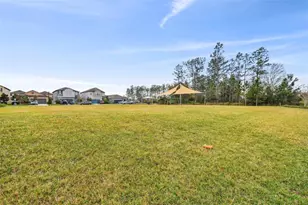 8938 Gallantree Pl, Land O Lakes, FL 34637 - Photo 31