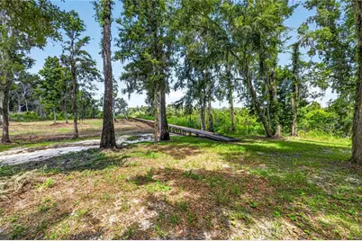 17265 Meadow Bluff View, Dade City, FL 33523 - Photo 13