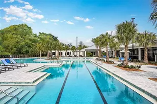 10892 Ibis Brk Ct, Land O Lakes, FL 34638 - Photo 37