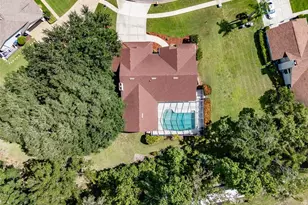507 Surrey Ln, Lutz, FL 33549 - Photo 53