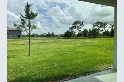 32978 Tulip Petal Lane, Wesley Chapel, FL 33545 - Photo 3