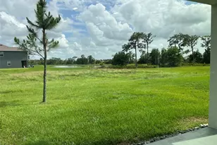 32978 Tulip Petal Ln, Wesley Chapel, FL 33545 - Photo 3