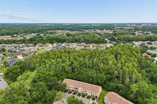 30005 Granda Hills Ct, Wesley Chapel, FL 33543 - Photo 29